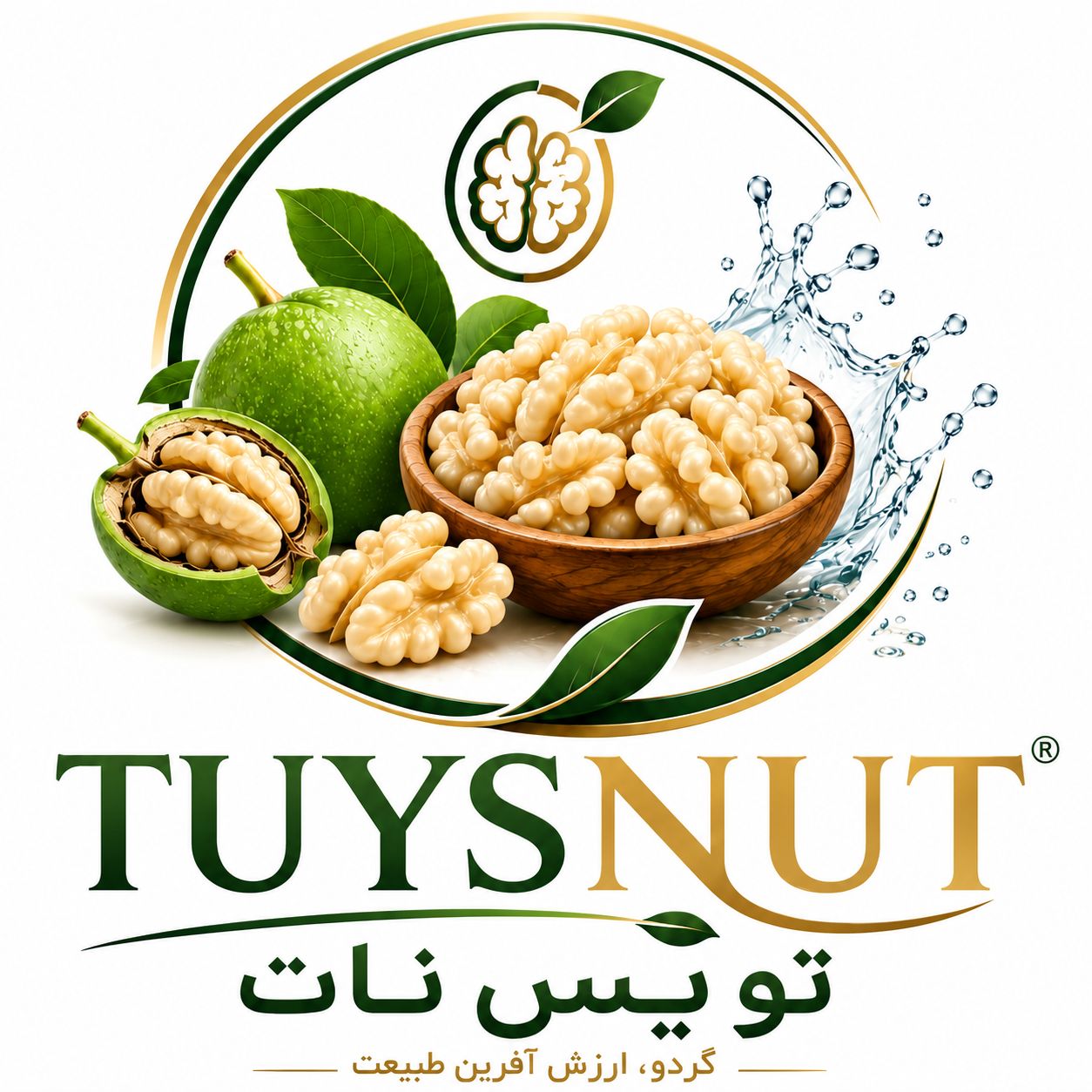 logo